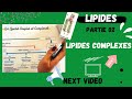4 les lipides partie 02  les lipides complexes     lipidsmedecine biology