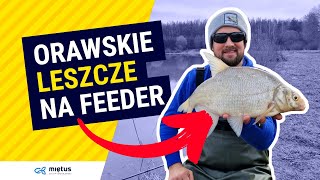 Wędka Mikado Ultraviolet Heavy Feeder - 3,60 m 40-120g video