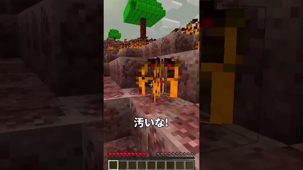 マイクラが壊れた...😱