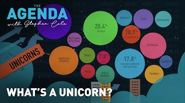 WHAT’S A UNICORN?  - The Agenda explains