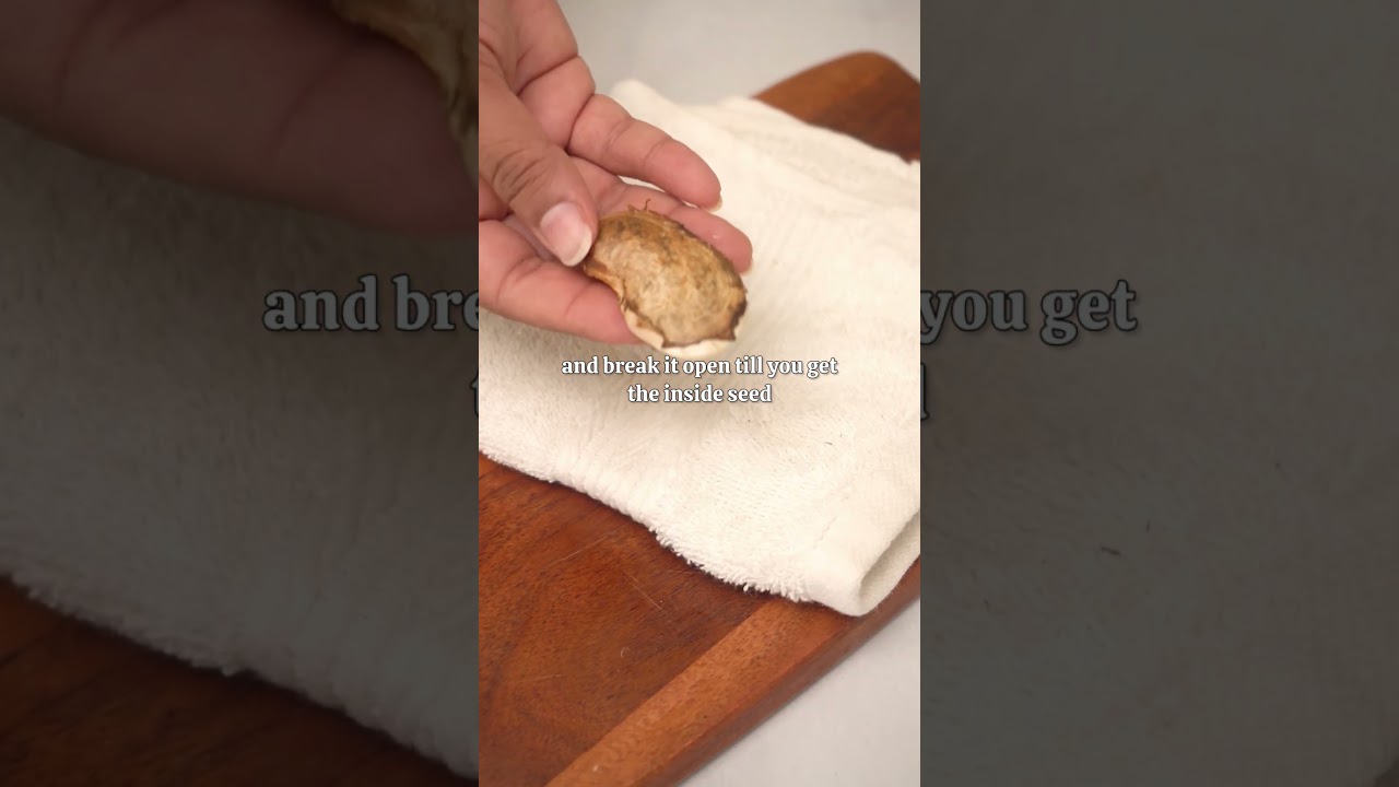 YUMMIEST MANGO SEED MUKHWAS 