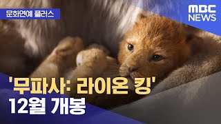 [문화연예 플러스] '무파사: 라이온 킹' 12월 개봉 (2024.05.01/뉴스투데이/MBC)