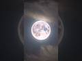 A Full Moon Capture In My Telescope ЁЯФн A Full Moon Capture In My Telescope ЁЯФн