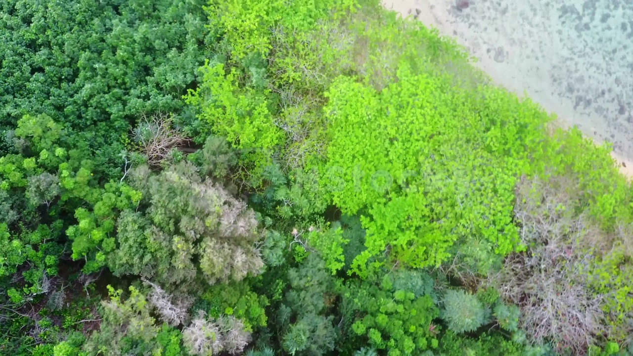 Drone Travelling Shot - By HStocks