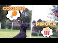 ADESTRANDO CACHORRO NA COXINHA, PIPOCA E PIMENTA