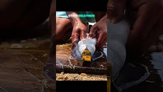 Normal Gold Finders vs King of Finding Gold