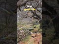 موت القلب و العقل و الضمير