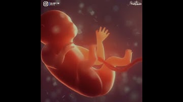 أجمل حالات واتس اب قرآن كريم بصوت جميل جدا Quran status