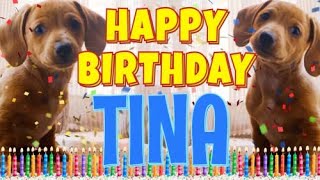 Happy Birthday Tina Funny Talking Dogs What Is Free On My Birthday