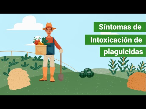 Vídeo: Intoxicación Por Clonidina: Síntomas, Primeros Auxilios, Tratamiento, Consecuencias