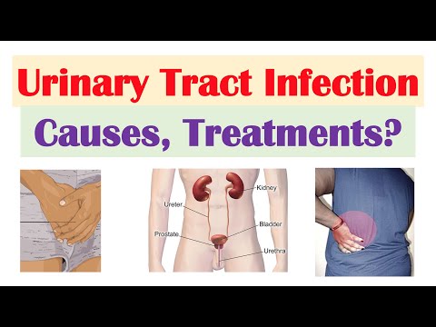 Video: E. Coli Og UTIs (urinveisinfeksjoner): Den Vanlige Forbindelsen