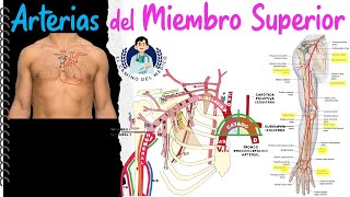 screenshot of the youtube video