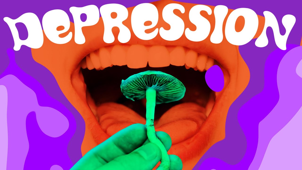 Key Pieces Of Psilocybin Mushroom Spores