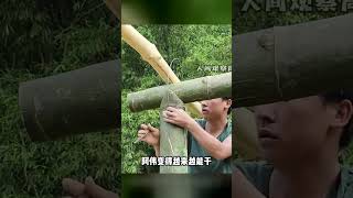 老光棍無償幫助寡婦,竟然只想吃「三兩豆腐」?!這結局太意外了! #国外生活 #海外生活 #真实记录 #人间观察 #海外生活真实