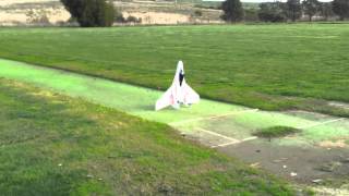 Funjet vertical launch