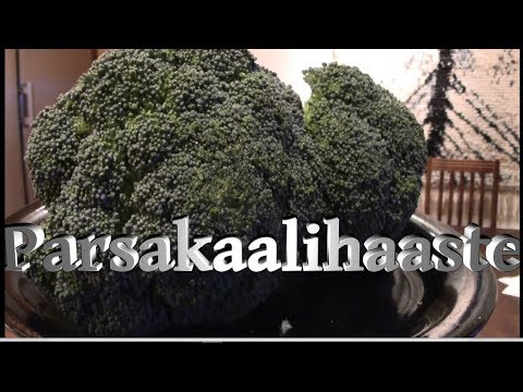 Video: Mikä on Romanesco: Vinkkejä Romanesco-parsakaalin kasvattamiseen