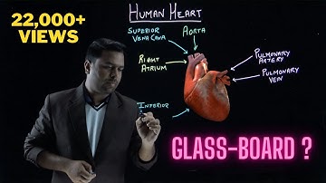 👉👉Glassboard / Lightboard Video with Animations👈👈📹