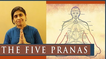 The Five Pranas that fuels functional systems of body ( Prana - Apana - Samana - Vyana - Udana )