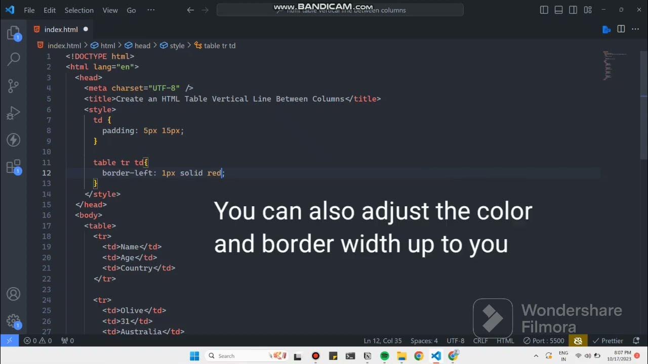 Create an HTML Table Vertical Line Between Columns [In 3 steps] YouTube