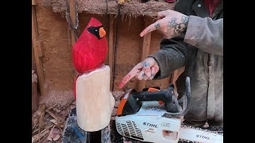 How to carve a cardinal bird easy step by step chainsaw carving #chainsawcarving #howto #tutorial