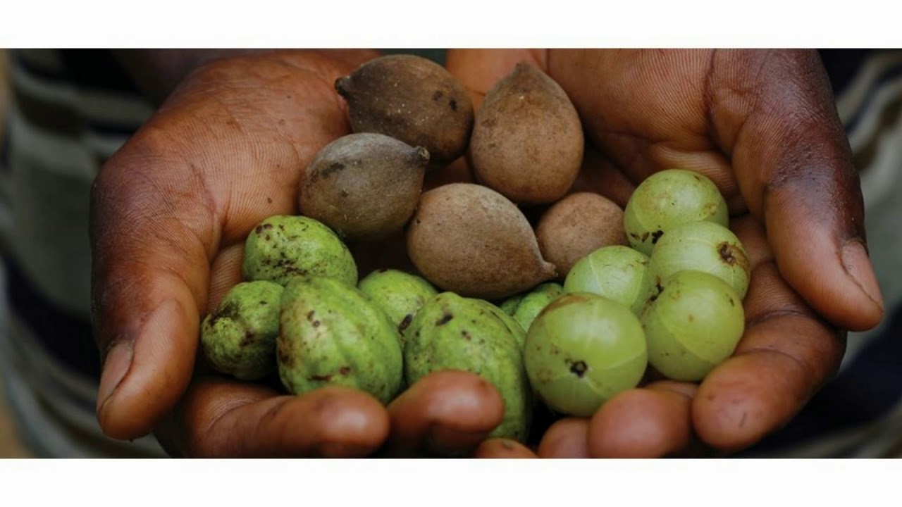 Can You Get Kidney Stones From Vitamin C YouTube