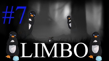 Fun With Gravity: Limbo #7