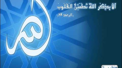 سورة التكوير للشيخ/هاني الرفاعي