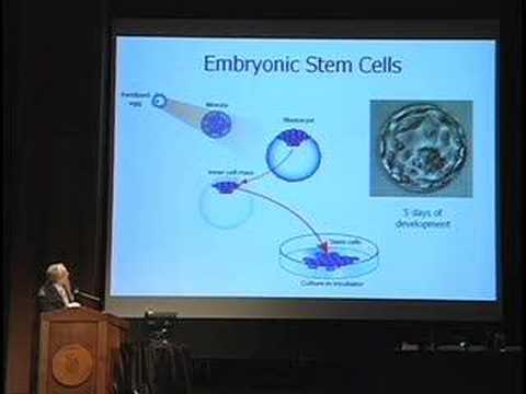 DUC Stem Cell Conference - Mohammed El Majdoubi, P...