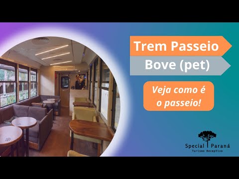 Passeio Trem Curitiba Morretes Pacote Completo Categoria Bove