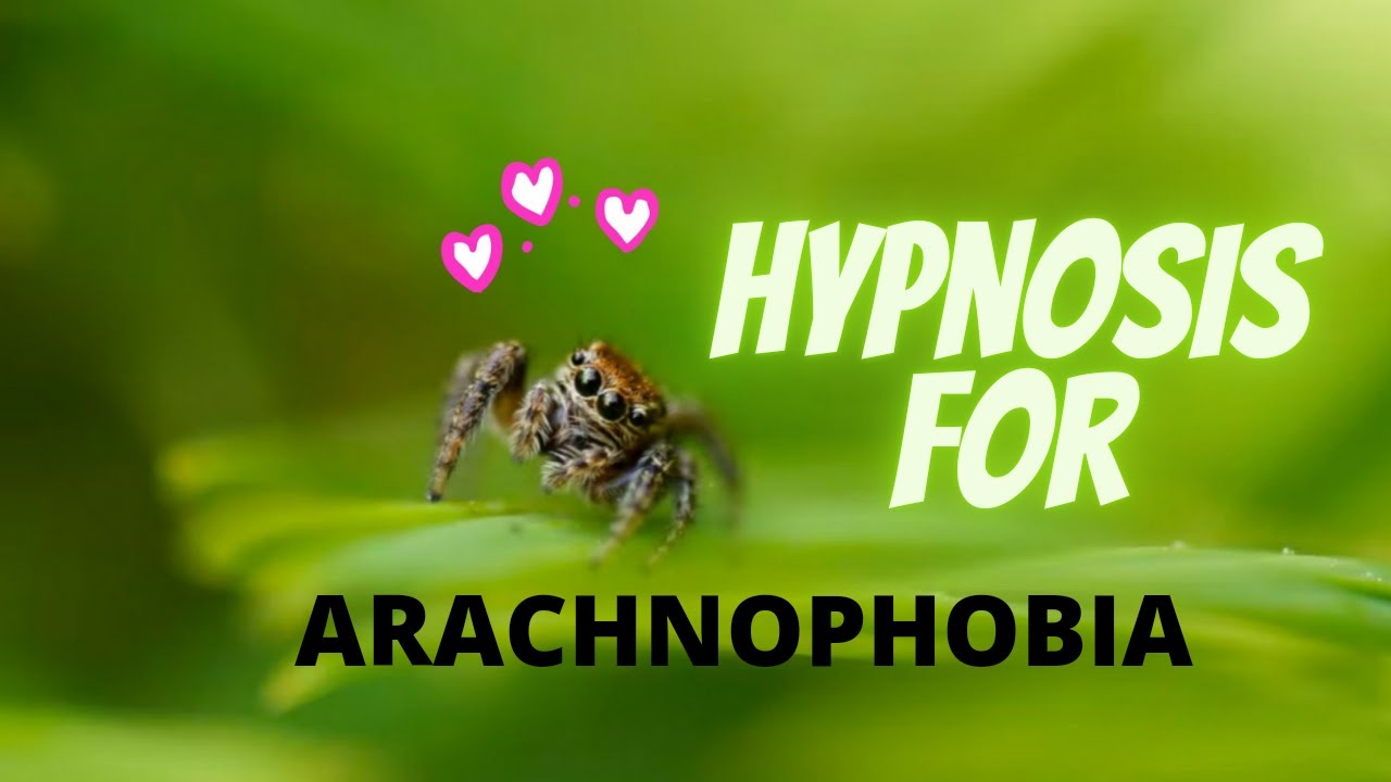 Hypnosis for Arachnophobia 🕷🌸 Your Fear 🕸🖤 Appreciate Spiders Today w/ Hypnotherapy
