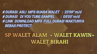 SP. SUARA WALET ALAM    WALET KAWIN BIRAHI (LINK LANGSUNG DOWNLOAD MP3  DI DESKRIPSI DIBAWAH INI)
