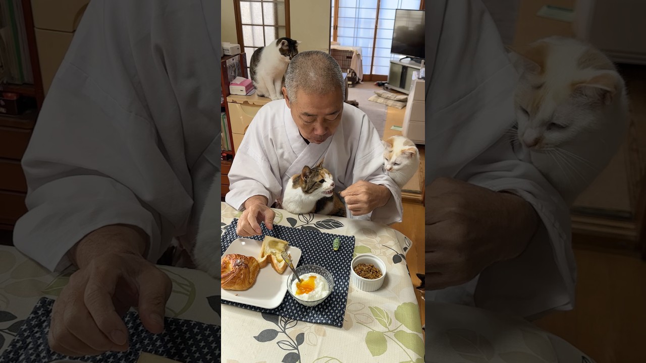 #住職の朝ごはん さつまいもパン 栗のデニッシュ ヨーグルト コーヒー #猫 #猫のいる暮らし #那須の長楽寺