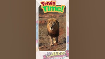 🔥 Trivia Time Challenge! | Can You Answer This Quiz 2 Correctly?