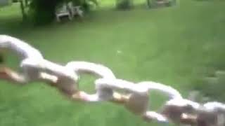 Dog%20Surprises%20Officer%20After%20Being%20Freed%20From%20A%20Fence