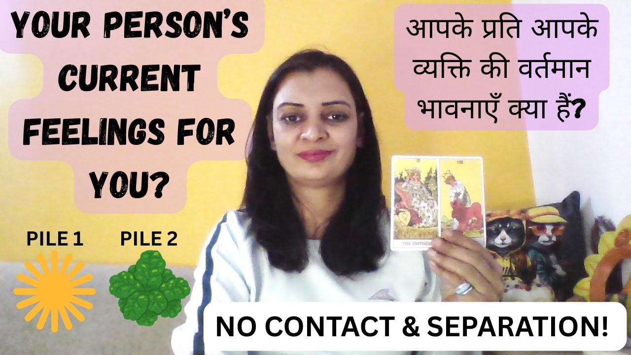 🔮What's their current feelings for you ?🥰No contact📵| Pick A Card| Love Tarot Reading Hindi