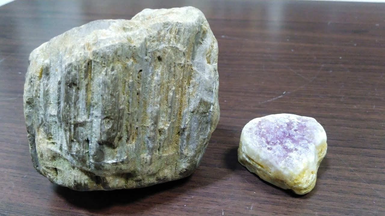 鉱物採集 何度も探索した場所で新たに珪化木(木の化石)を発見！