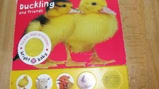 Touch, Feel and Listen - Duckling and Friends Bright Baby board book review