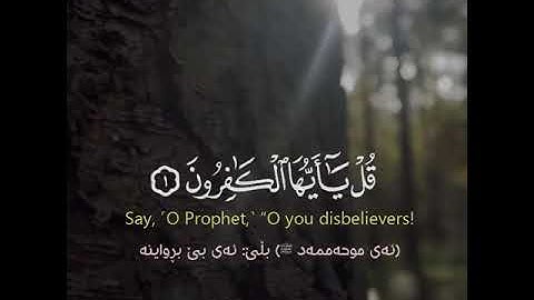 سورة الكافرون • قارء شريف مصطفى