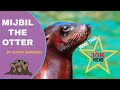 MIJBIL THE OTTER