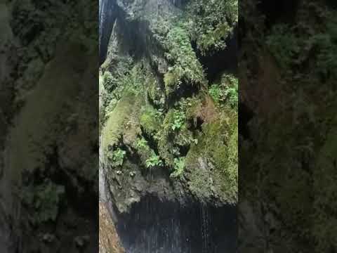 Video: Valle delle Ferriere Şelalesi açıklaması ve fotoğrafları - İtalya: Amalfi Rivierası