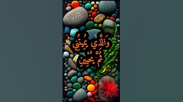 من الآية 78 إلى الآية 81 من سورة الشعراء