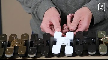 Bridgeport Worldwide : Tectus Finshes