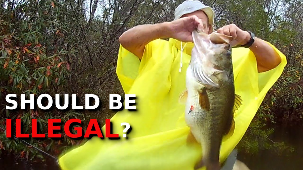 This 10 Year Study About BED FISHING For Bass Changes EVERYTHING We Know!!!!!