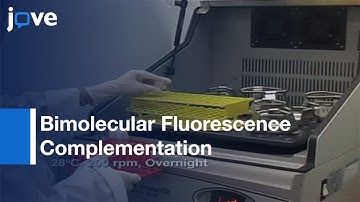 Detection-Protein Interactions In Plant Using Gateway Compatible (BiFC) System l Protocol Preview