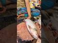 Market#shortvideo #fishcuttingskills #viral #shorts#shortvideo#shortvid#shortvideo #fishcuting