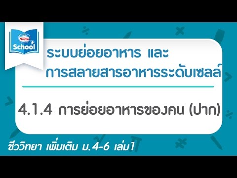 4.1.4 การย่อยอาหารของคน (ปาก)