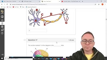 PSYC 1001 Final Exam Review