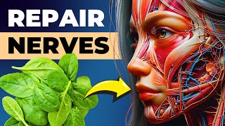 10 Foods That Can Miraculously Heal Nerve Damage