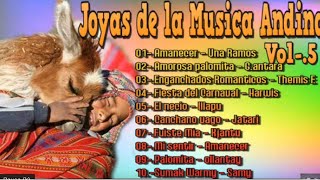Joyas De La Musica Andina Vol-.5