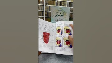 المنير في أحكام التجويد، كتاب مميز لتعليم التجويد وإتقان قراءة القرآن الكريم. #اسطنبول #الكتاب